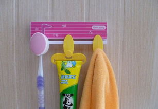 創意與衛生的結合 快樂女聲主題衛浴牙刷架兩件套全面解析